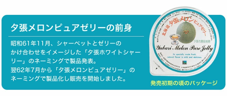 HORI Yubari Melon Pure Jelly