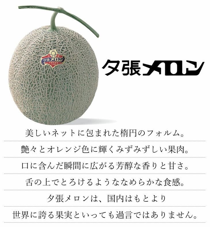 HORI Yubari Melon Pure Jelly