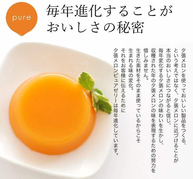 HORI Yubari Melon Pure Jelly