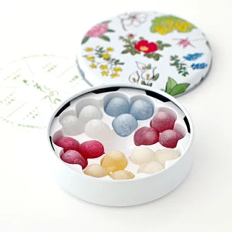 【日本北海道直邮】日本高颜值北海道限定六花亭mini六色酒心糖 18g(18颗)