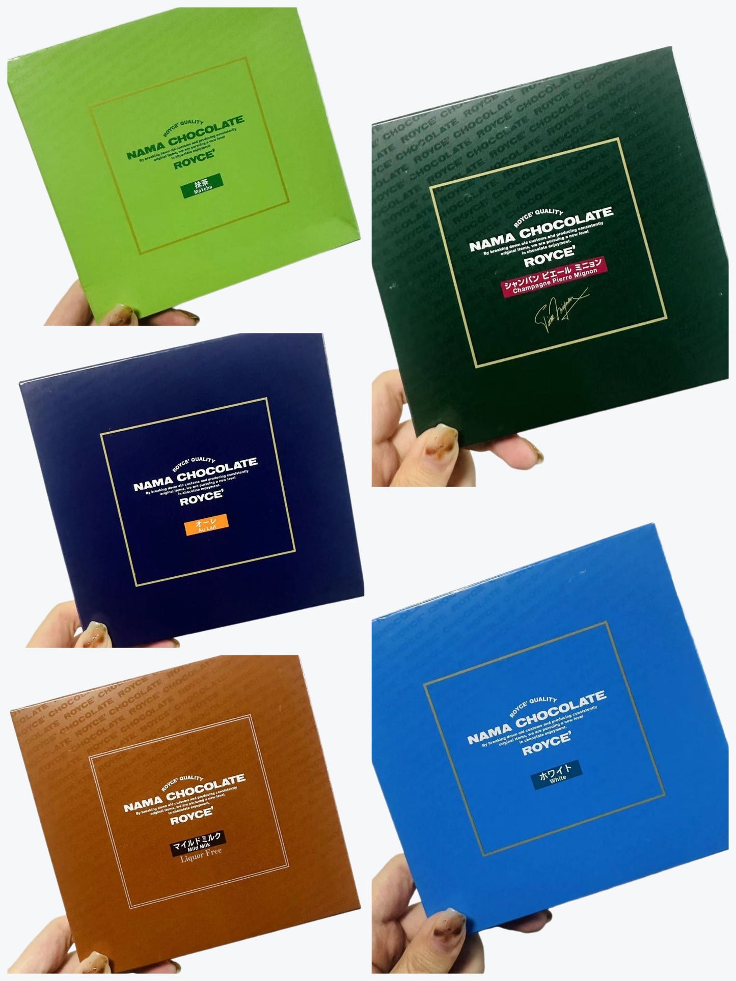 【Fresh Date】Hokkaido Post Royce Nama Chocolate 20pcs