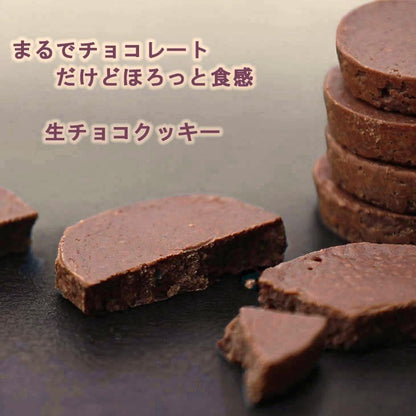 もりもと もりもと 生チョコクッキー カカオミルク 8枚入り 8pcs - Premium Quality - Japanese Gourmet