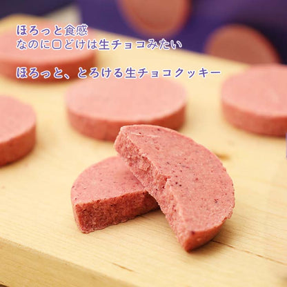 もりもと もりもと 生チョコクッキー ハスカップ 8枚入り 8pcs - Premium Quality - Japanese Gourmet