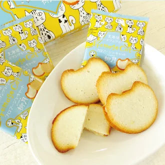 【日本北海道直邮】柳月 芝士乳酪巧克力夹心猫咪饼干 9枚入